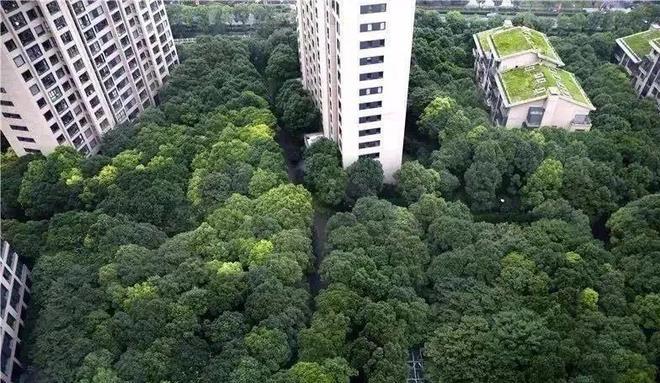025网站）中鹰黑森林楼盘全面介绍凯发k8入口中鹰黑森林售楼处（2(图4)