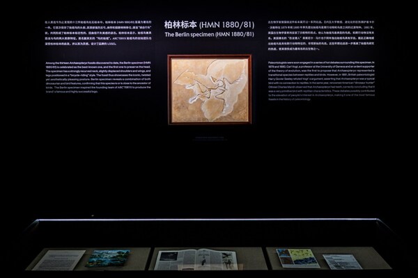 旅 上海始祖鸟博物馆揭幕全新展览马竞合作伙伴溯源｜始祖鸟进化之(图3)