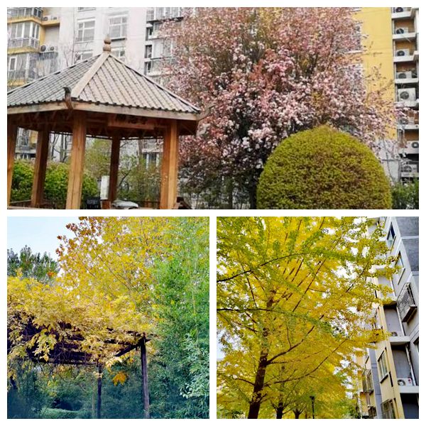 的“爆改”打造多彩龙腾苑六区社区k8凯发国际“六色助力”！家门口(图12)